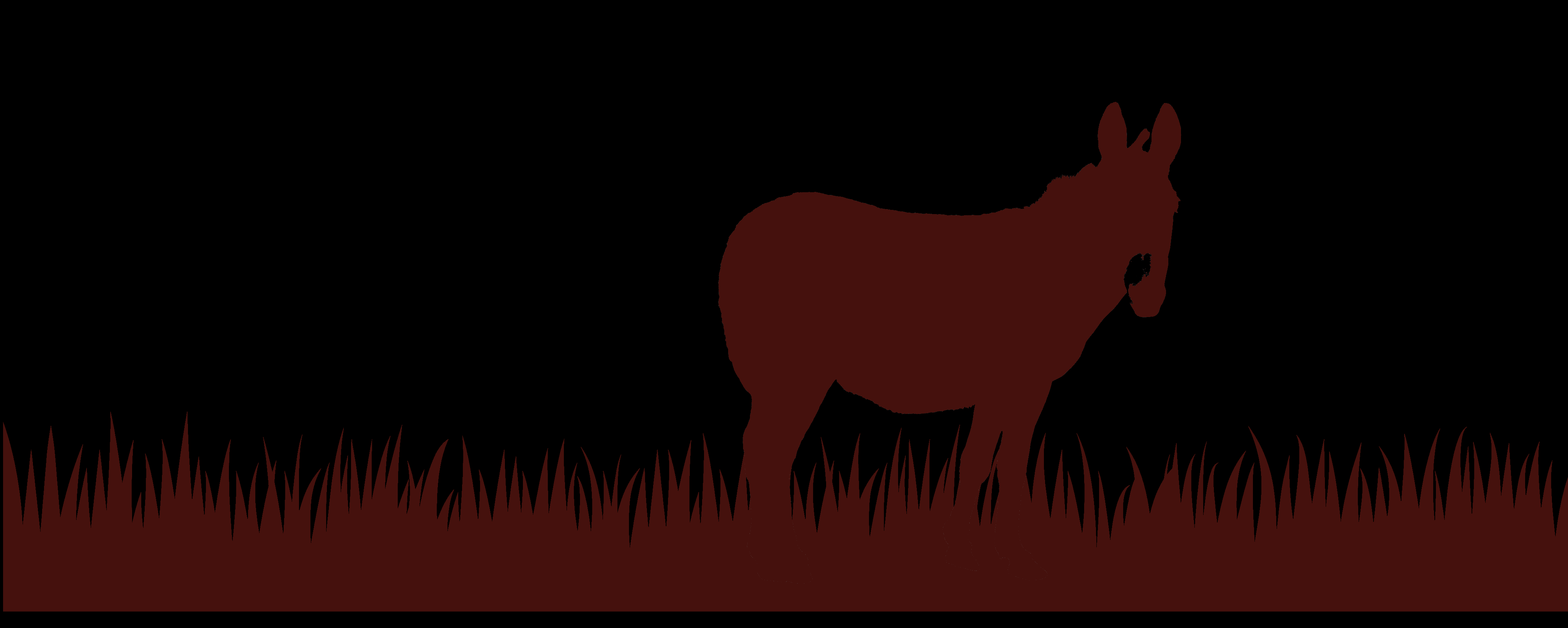 A donkey standing in tall grass